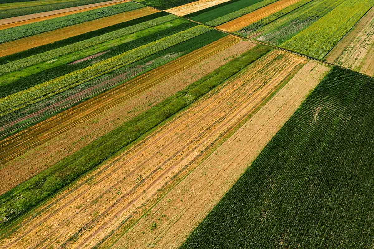 aerial-view-of-cultivated-agricultural-fields-in-s-2021-08-26-23-03-13-utc.jpg