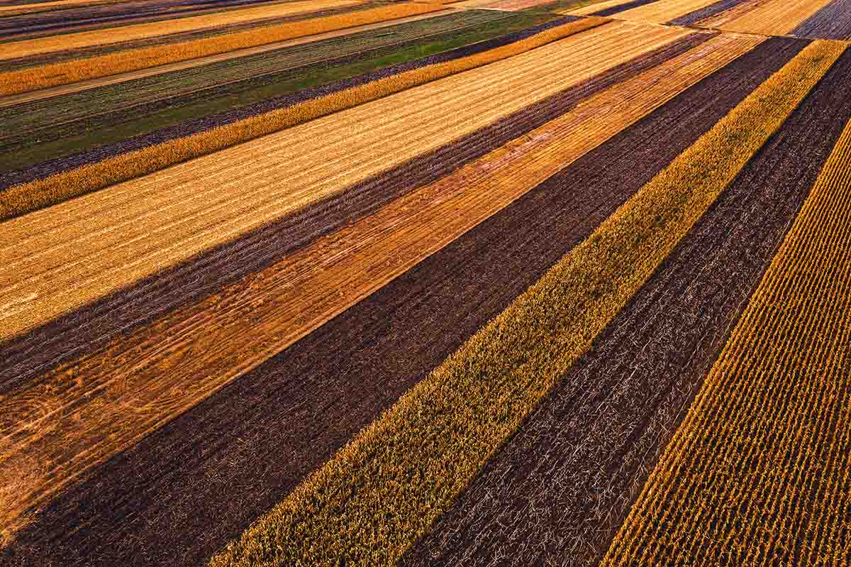 agricultural-fields-from-above-drone-photography-2021-08-27-22-26-53-utc.jpg